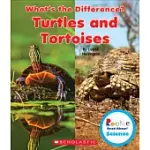 TURTLES AND TORTOISES