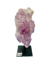 Amethyst Cluster on Stand A2