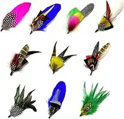 Hat Feathers 10 Styles Natural Assorted Feathers for Fedora Hats Accessories DIY Craft,Western Cowboy Hats,Christmas Party Hats,Oktoberfest Hats