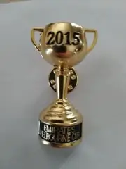 2015 Melbourne Cup Pin horse racing collectable