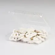 Detroit Forming LBH-651 Hinged Locking Lid Container, 7 x 6 x 2 Inch | 500/Case