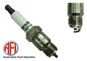 Spark Plug for Ford F350 4.1L Petrol 250 01/74 - 12/85 (for: Ford)