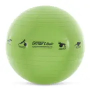 Ironcompany 23" Smart Self-Guided Stability Exercise Ball W/13 Exercises Printed
