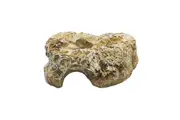 Komodo Rock Den Sandstone Small
