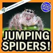 Jumping Spiders!: A My Incredible World Picture Book for Children