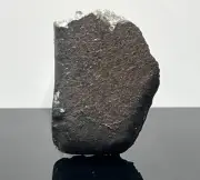 EL MENIA 18.468g L5 Chondrite Meteorite Witnessed Fall Crusted End Cut