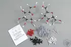 Chemistry of Sugars Molecule/ Molecular Model Kit (202 Pcs), Ryler Super Models