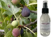 Fig Tree - Room & Linen Spray