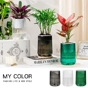 時代水盤 花盆 花器 盆器 塑膠水盤,花盆器皿,花束園藝,修繕園藝- momo購物網- 好評推薦-2025年11月