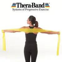 在飛比找蝦皮購物優惠-【美國進口】Thera-Band 彈力帶 保證正版