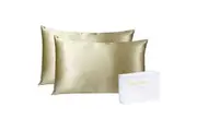 Royal Comfort Mulberry Silk Pillowcase Twin Pack Pillow Cover 51x76cm CHMPGNE