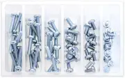 NEW BOLT SV-M6PAN M6 Pan Head Screw Assortment