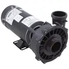Waterway Plastics 3420820-1A 2 hp 230V 2-Speed 2" x 2" 48 Frame Executive Spa