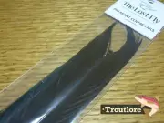 THE LOST FLY BLACK RINGNECK PHEASANT TAIL FEATHERS - NEW FLY TYING