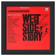 Vinyl LP Record Album ARCHIVAL FRAME • Acid-free Display