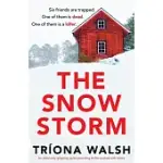THE SNOWSTORM: AN ABSOLUTELY GRIPPING, PULSE-POUNDING THRILLER PACKED WITH TWISTS