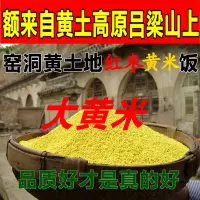 在飛比找淘寶網優惠-山西呂梁山農家自產大黃米糯小米黃小米軟米粽子米黏米500g