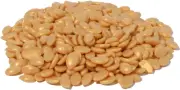 Blue Pearl Wax Triton Gold Hard Bead Wax (Stripless) Small Bag 1lb
