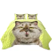 Cats Funny Faces Unsatisfied Brown Tabby Kitten Coverlet