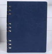 Premium A5 Leather Notebook, 6.69" x 9.06", 200 Pages Thick Paper, Ideal for Daily Notes, Meetings, Writing, Study, Travel Journals(Blue)