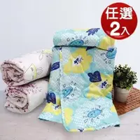 在飛比找PChome24h購物優惠-柔絲絨涼感恆溫涼被 任選2件超值組