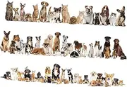 Totority Decorative Cartoon Wall Stickers Home Decor PVC Decals Easy Peel Stick Removable Wall Decals for Boys and Girls Room No Sticky Residue