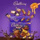 【Cadbury】 含餡牛奶巧克力綜合分享組 540g