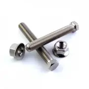 Honda CBR1000RR 06-07 Titanium Axle Chain Adjuster Bolt Kit