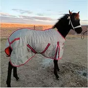 Medium Weight 420D Horse Turnout Blanket 220g Fill Fleeece Lining Waterproof Quilted Stable Rug for Horse and Shetland Pony,Gray 43inch