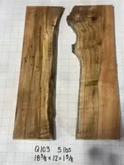 Q103 Spalted Maple Burl Live Edge 18x12x1.5/8 DIY Epoxy River Table 8%mc