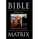 Bible Matrix: An Introduction to the DNA of the Scriptures