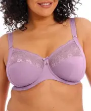 Elomi Full Figure Morgan Underwire Stretch Lace Bra Wisteria Size 36E
