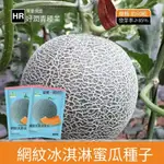 🍈網紋冰激凌哈密瓜種子（50粒）廠家直銷黃肉甜瓜新疆圓球型庭院盆栽地栽水果種子