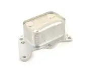 OEM MINI COOPER JCW R55 R56 R57 R58 R59 R60 R61 HEAT EXCHANGER 11427552687 NEW (for: Mini)