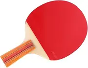 GANAZONO 1Set Table Tennis Racket with Slip Grip for Training for All Ages Use for Beginners and Experts Durable
