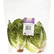 Macro Fresh Lettuce Baby Cos Organic Pack Each