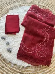 Red Premium Organza Silk Saree with All-Over Sequins Work and Cutwork Border
