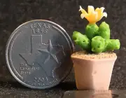 Potted Cactus Dollhouse Miniature 1:12 A1605 Garden Desert Patio Western Window