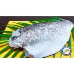 【NO.1】300克-400克克冷凍海鱸魚片/金目鱸魚/魚片