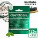 【丹特一錠淨Denttabs】牙膏錠-成人薄荷含氟環保牙膏(125顆x3包)