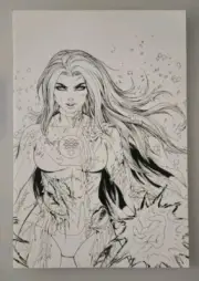 Invincible #2 1st Full App Of Atom Eve Tyler Kirkham B&W Sketch Virgin Lmtd 500