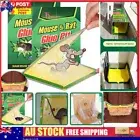 1-20X SPECIAL OFFERS Mouse Traps Rat Mice Mouse Trap Board Snare Catcher Board