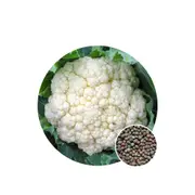 Cauliflower Snowball - Seed Packet - Organic Seeds - Autumn-Winter