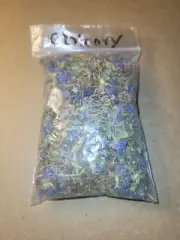 Chicory Magick Medicinal