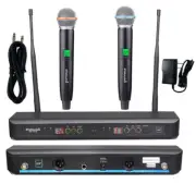 Pro Audio UHF Wireless Microphone System 2 Channel Handheld Church Dynamic Mics