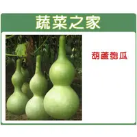 在飛比找PChome商店街優惠-【蔬菜之家】G32.葫蘆匏瓜種子5顆 種子 園藝 園藝用品 