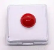 Japanese Ox-Blood Red Coral Half Round Cabochon 10.7MM 4 Crt (Aka Coral)