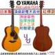 分期免運 終身保固 贈硬盒+千元配件 山葉 Yamaha FSX 5 紅標 電 木吉他 OM 桶身 全單板 公司貨