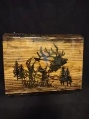 Solar pyrography wood burning elk mountains wildlife outdoors