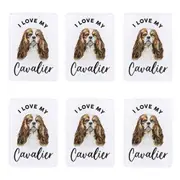 6x Splosh Pet Lovers Cavalier Acrylic Magnet Fridge Home Room Decor 7x5cm